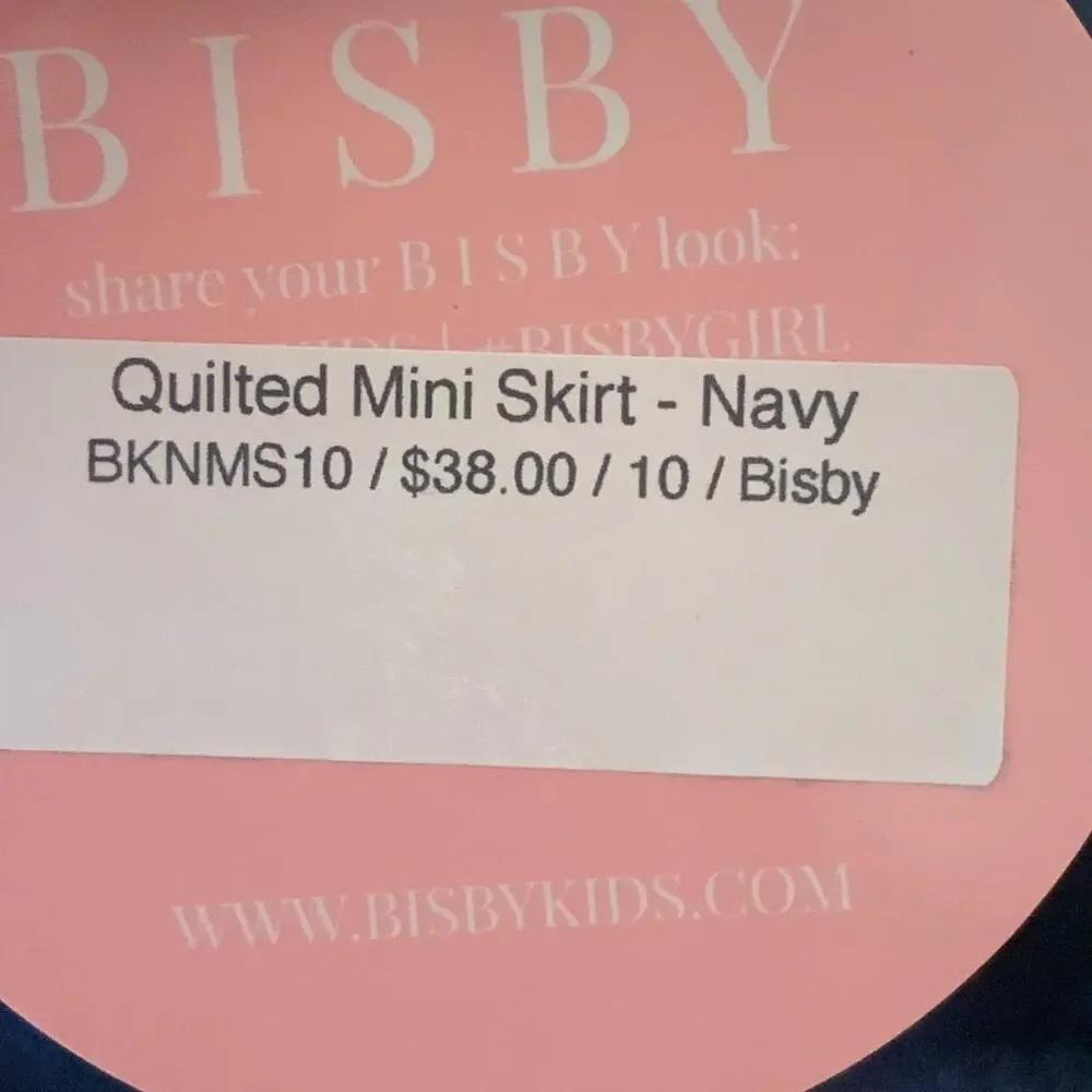 BISBY Quilted Mini Skirt,‎ Navy Trellis NWT size 10